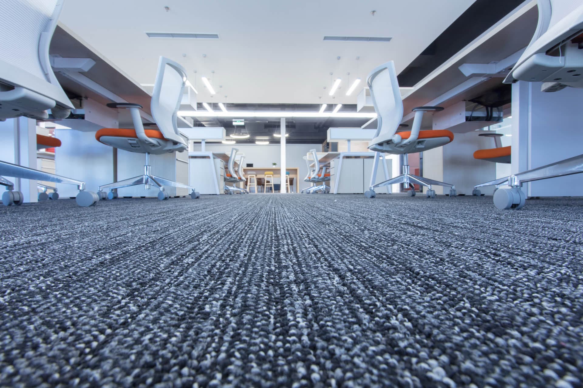 Carpet Cleaning Melbourne detail